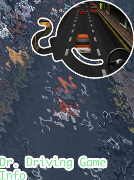 Dr driving game online