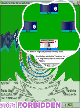 Play 4 hand bridge